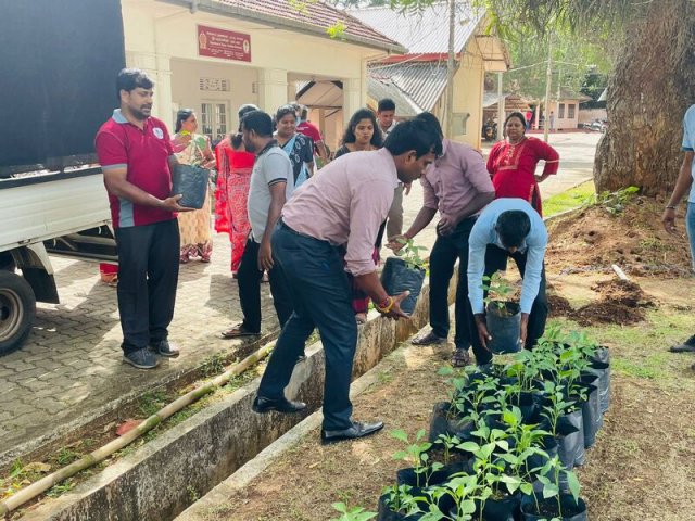 Home Gardening at Vavuniya District Secretariat-25.08.2022